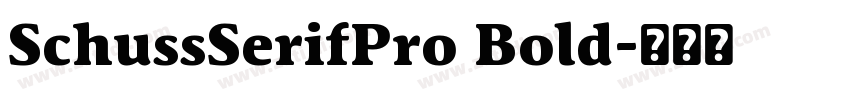 SchussSerifPro Bold字体转换